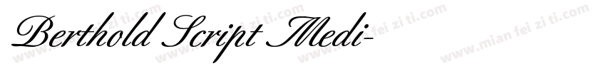 Berthold Script Medi字体转换